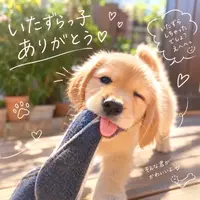 写メ日記 宮本恵美子 10/1(木) 16:44
