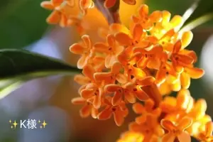 写メ日記 小山真帆 10/16(金) 11:22