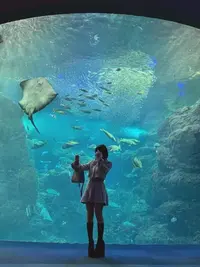 写メ日記 れいな 10/17(土) 02:01