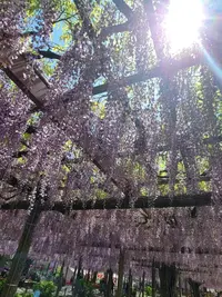 写メ日記 あかね 10/18(日) 11:49