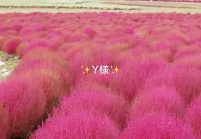 写メ日記 小山真帆 10/20(火) 14:04