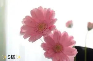 写メ日記 小山真帆 10/25(日) 20:02