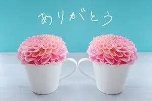 写メ日記 藤田ゆうか 10/29(木) 17:32