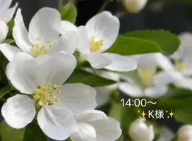 写メ日記 小山真帆 10/30(金) 20:27