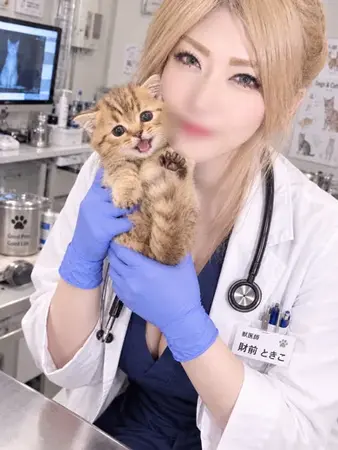 ときこ