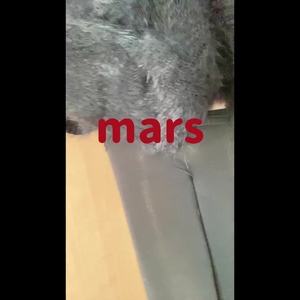 出勤パンチラ(103) ありす (MARS　松阪人妻店)