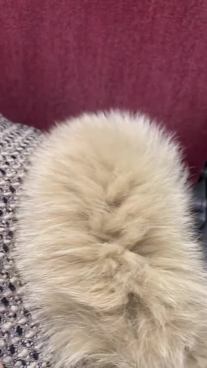 出勤パンチラ(6970) つきよ (愛特急2006三重本店)