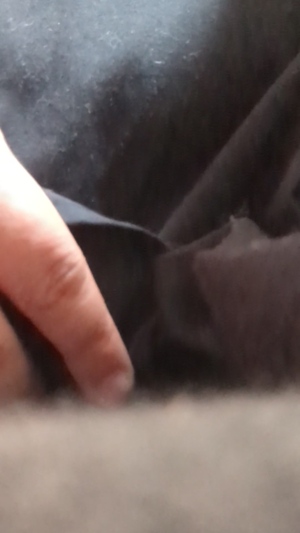 出勤パンチラ(9713) まりあ (昭和道（ショウワロード）松阪店)