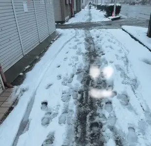 女の子動画(7992) さく (星組)